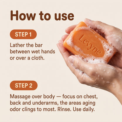 Authentic Deodorizing Persimmon Soap